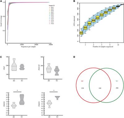 Yeast Culture Improves Egg Quality and Reproductive Performance of Aged Breeder Layers by Regulating Gut Microbes